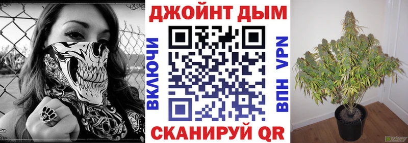 МАРИХУАНА конопля Саров